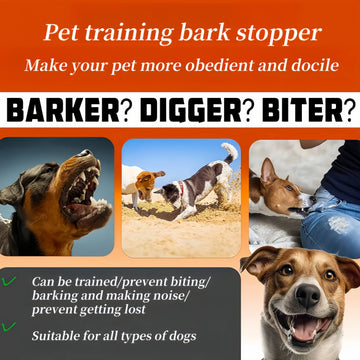 BarkEase™ Smart Anti-Bark Collar – Special UK Launch Offer 🇬🇧