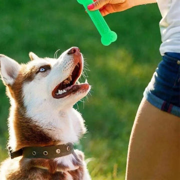 🐾 PetBone™ Interactive Chew Toy